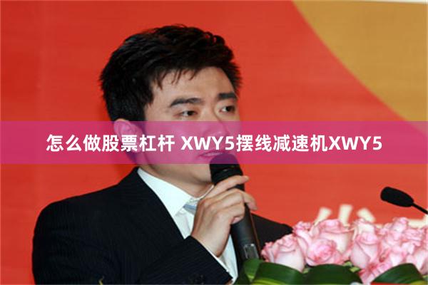 怎么做股票杠杆 XWY5摆线减速机XWY5