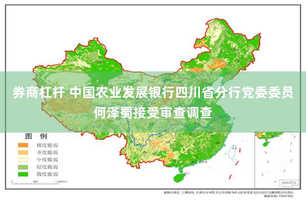 券商杠杆 中国农业发展银行四川省分行党委委员何泽蜀接受审查调查