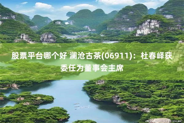 股票平台哪个好 澜沧古茶(06911)：杜春峄获委任为董事会主席