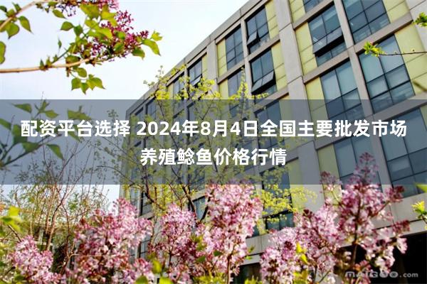 配资平台选择 2024年8月4日全国主要批发市场养殖鲶鱼价格行情