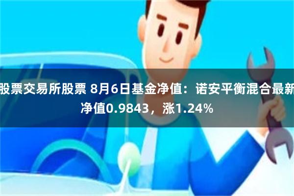 股票交易所股票 8月6日基金净值：诺安平衡混合最新净值0.9843，涨1.24%