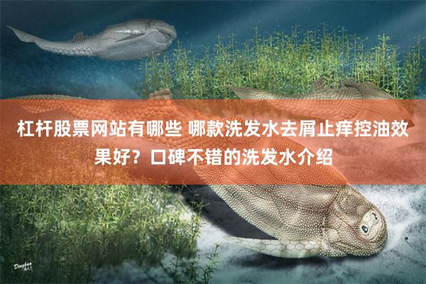 杠杆股票网站有哪些 哪款洗发水去屑止痒控油效果好？口碑不错的洗发水介绍