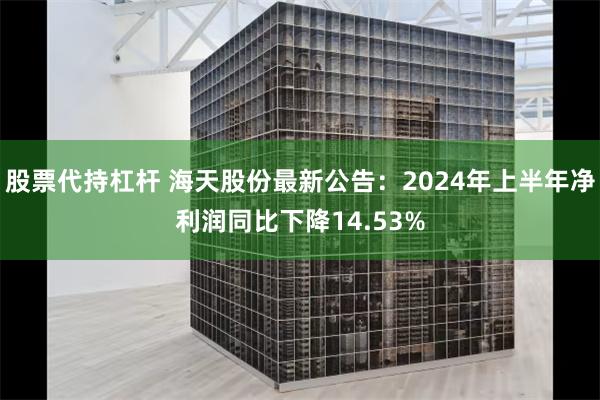 股票代持杠杆 海天股份最新公告：2024年上半年净利润同比下降14.53%