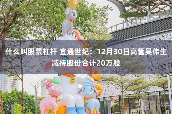 什么叫股票杠杆 宜通世纪：12月30日高管吴伟生减持股份合计20万股