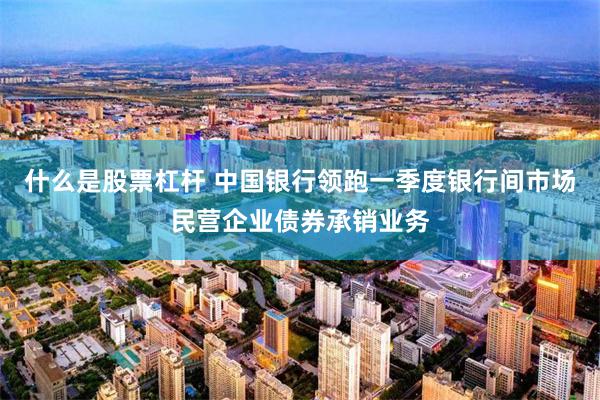 什么是股票杠杆 中国银行领跑一季度银行间市场民营企业债券承销业务
