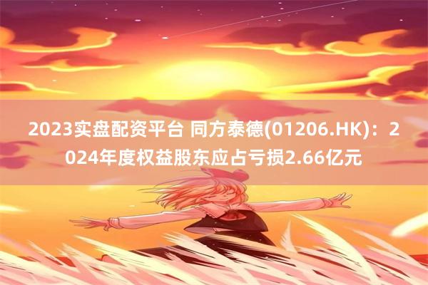2023实盘配资平台 同方泰德(01206.HK):2024年度权益股东应占亏损2.66亿元
