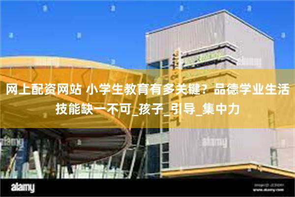 网上配资网站 小学生教育有多关键？品德学业生活技能缺一不可_孩子_引导_集中力