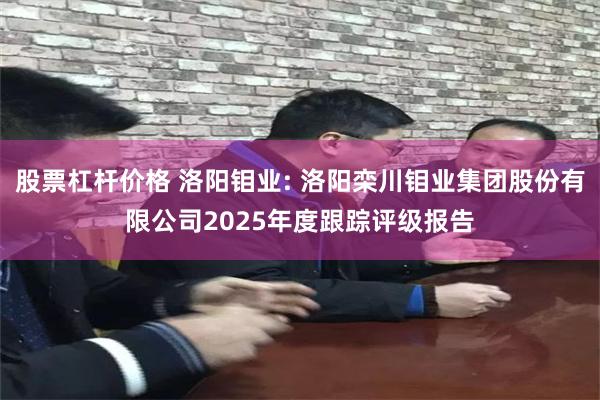 股票杠杆价格 洛阳钼业: 洛阳栾川钼业集团股份有限公司2025年度跟踪评级报告