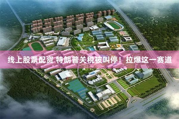 线上股票配资 特朗普关税被叫停!拉爆这一赛道