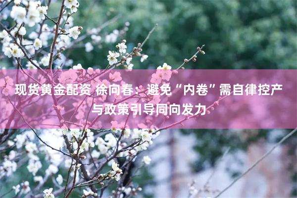 现货黄金配资 徐向春:避免“内卷”需自律控产与政策引导同向发力