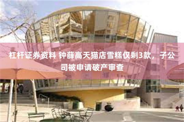 杠杆证券资料 钟薛高天猫店雪糕仅剩3款,子公司被申请破产审查