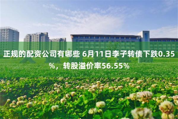 正规的配资公司有哪些 6月11日李子转债下跌0.35%,转股溢价率56.55%