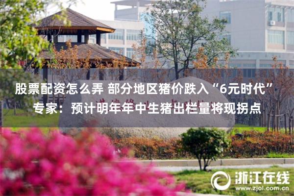 股票配资怎么弄 部分地区猪价跌入“6元时代” 专家：预计明年年中生猪出栏量将现拐点